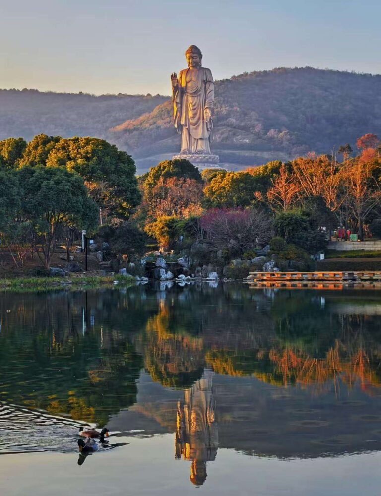 798e8e8d422c5ba00e3e3707ae8ba6d2